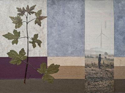 926.-30x20.man-en-plant