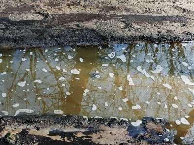 takken-in-water-zand-1-web